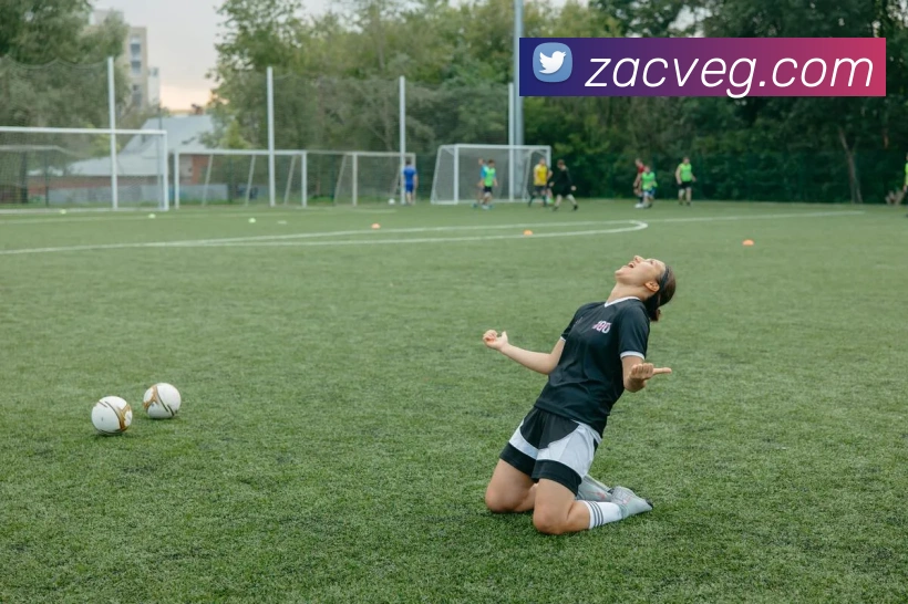 必一运动体育app官网品牌故事